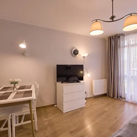 Rosa Weneda By Baltic *