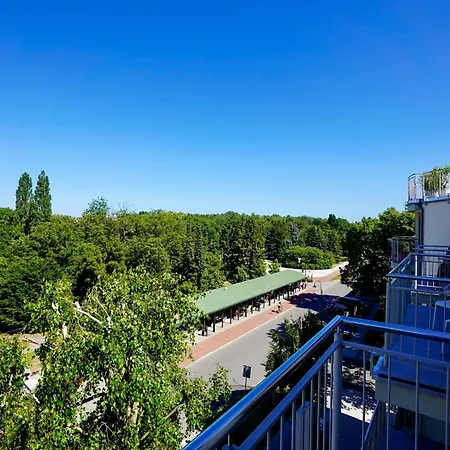 Rosa Weneda By Baltic *