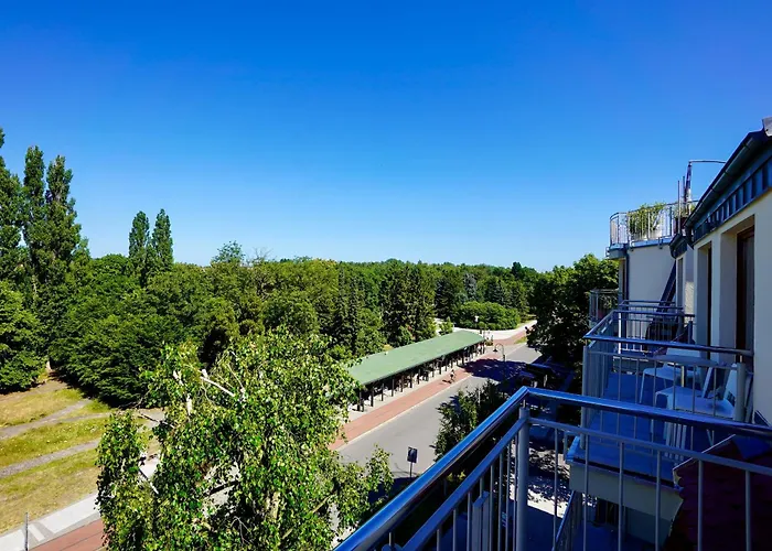 Rosa Weneda By Baltic *